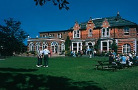 Anglolang Academy of English